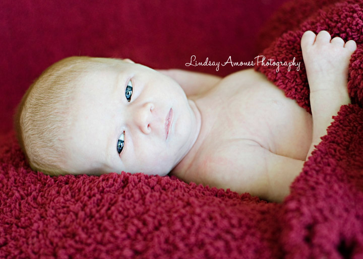 Indianapolis Newborn Photographer