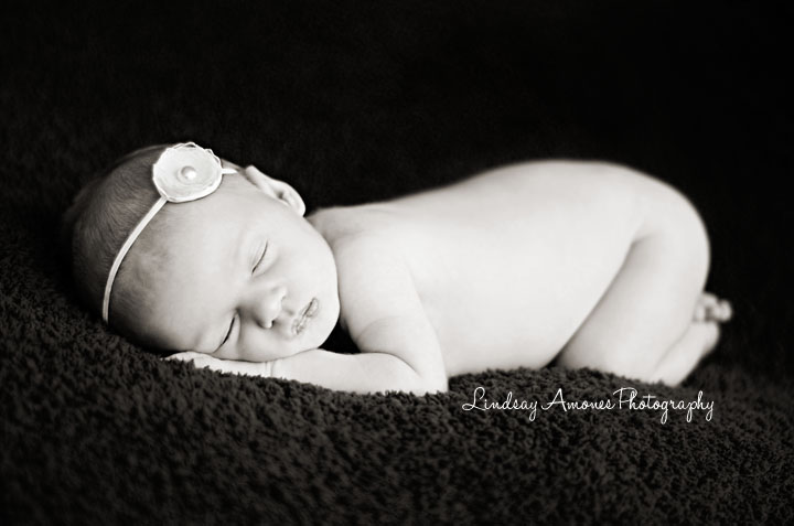 Indianapolis Newborn Photographer