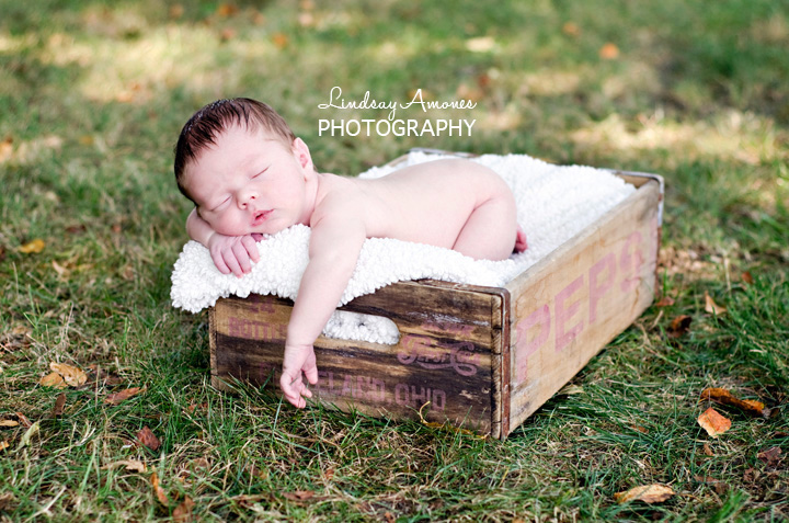 Indianapolis Newborn Photographer