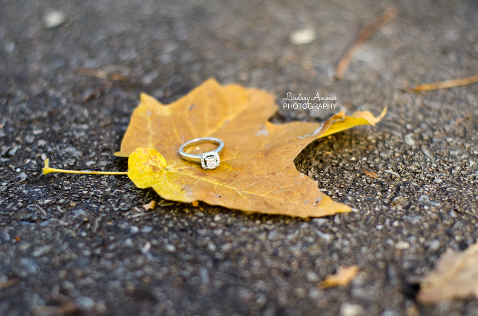 Indianapolis Engagement Photographer