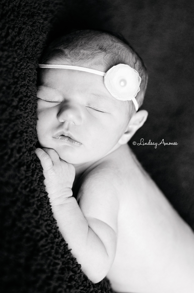 Indianapolis Newborn Photographer