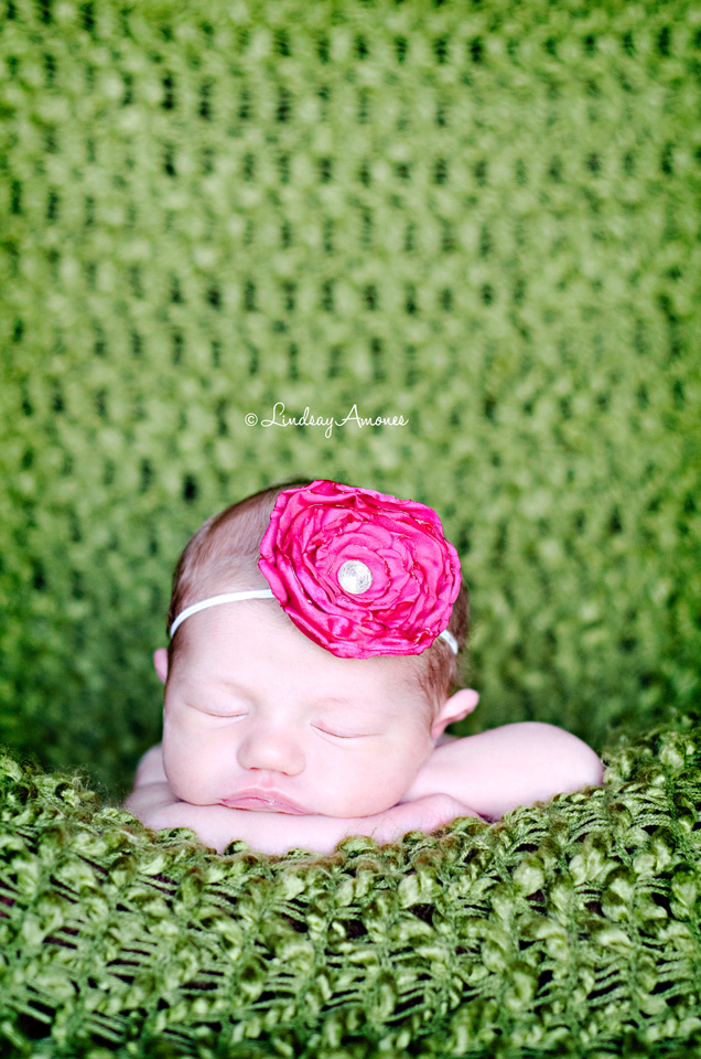 Indianapolis Newborn Photographer