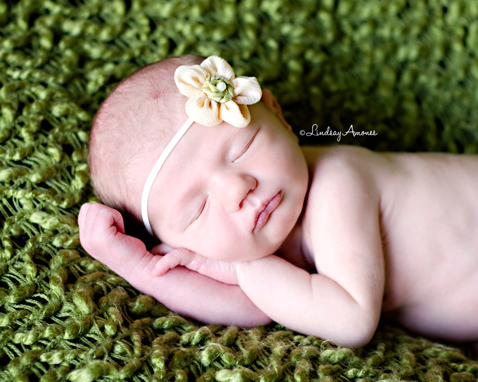 Indianapolis Newborn Photographer