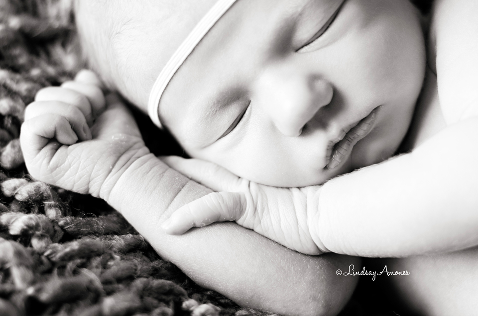 Indianapolis Newborn Photographer