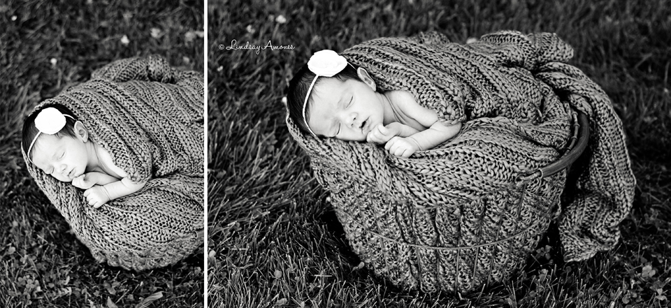 Indianapolis Newborn Photographer