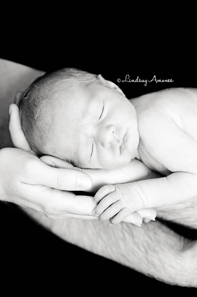 indianapolis newborn photographer