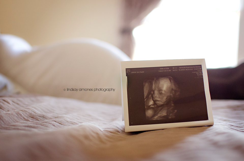 Indianapolis Maternity Photographer