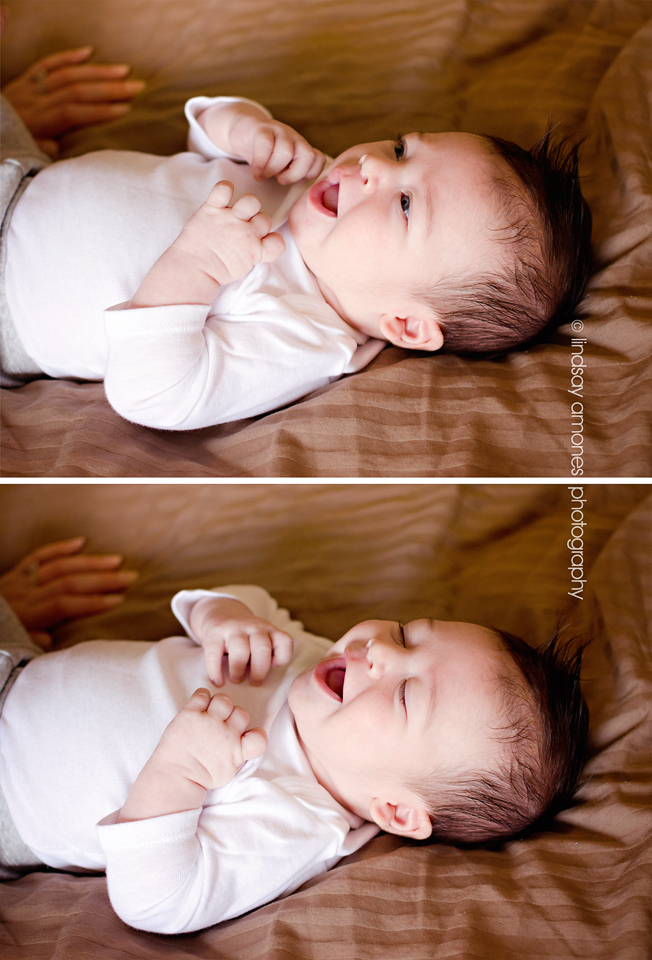 Indianapolis Newborn Photographer