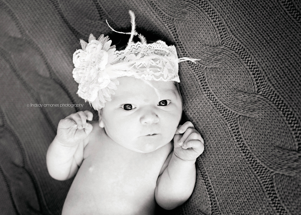 Indianapolis Newborn Photographer