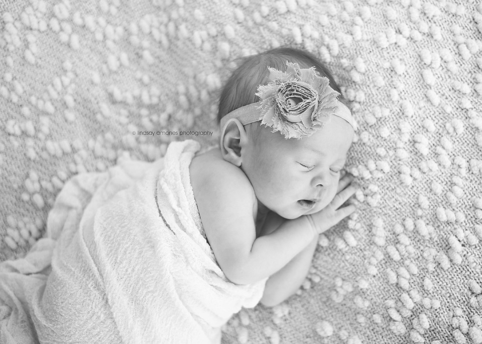 Indianapolis Newborn Photographer