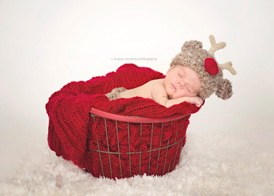 Indianapolis Newborn Photographer